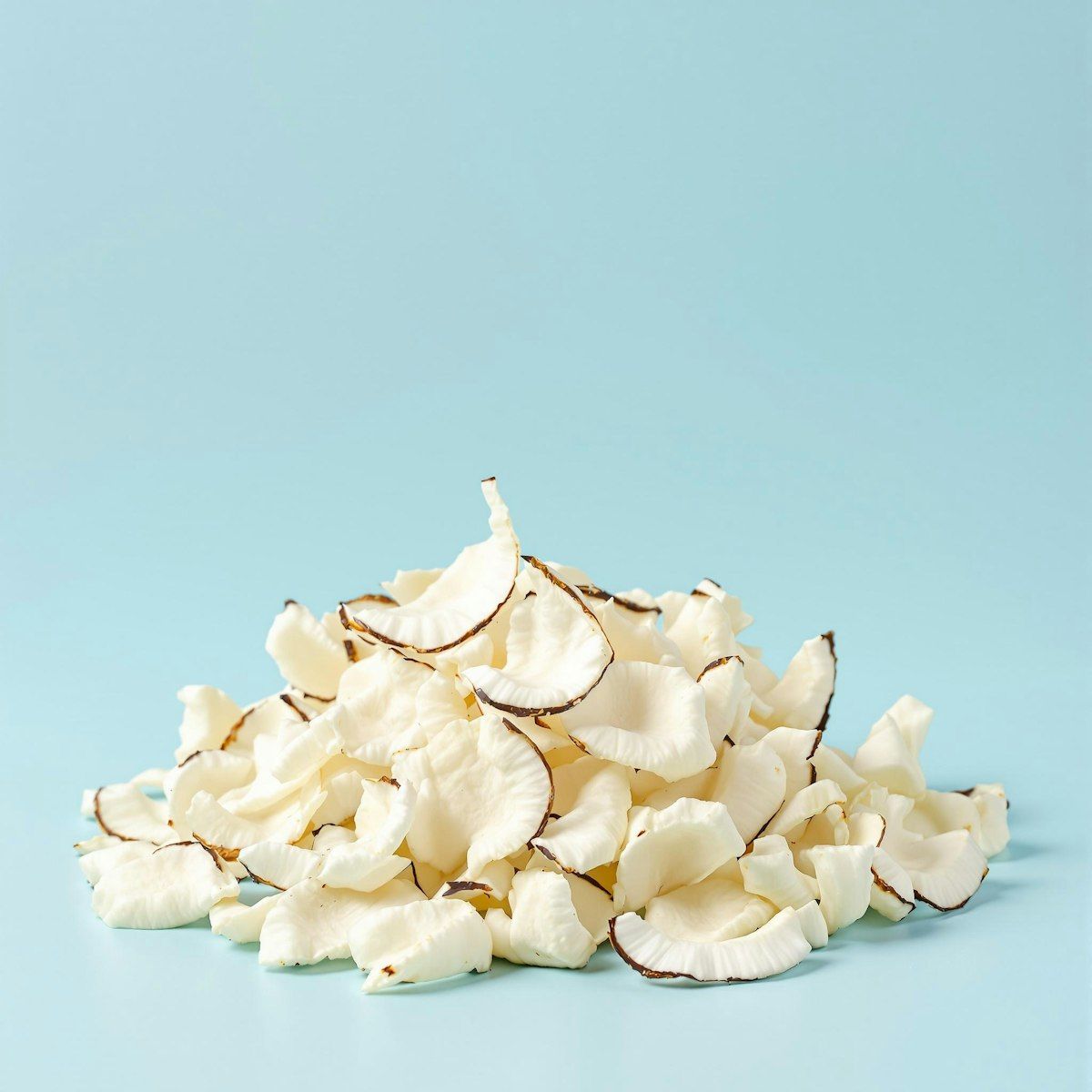 Chips de Coco com Açúcar A Granel