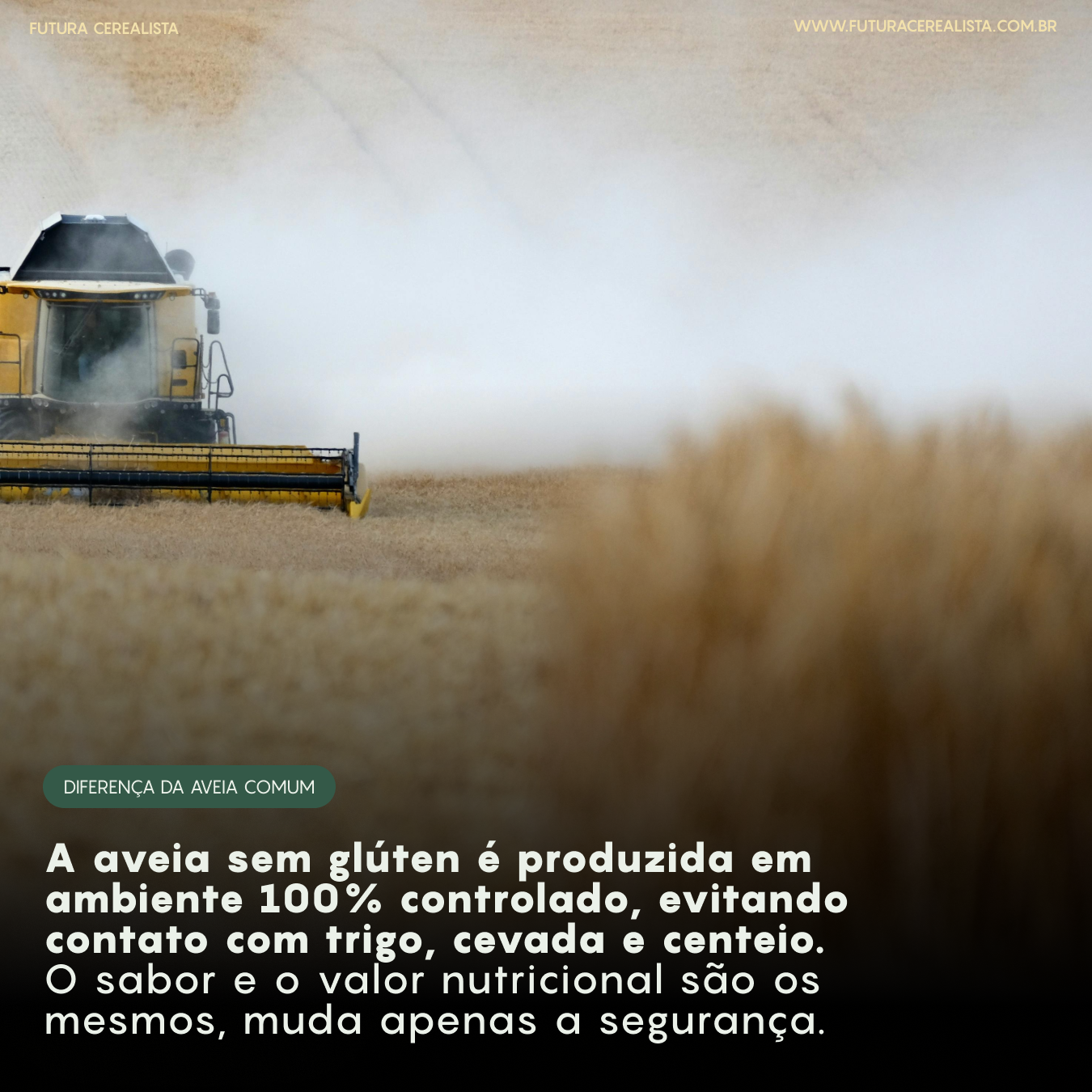 Aveia em Flocos Grossos sem Glúten A Granel