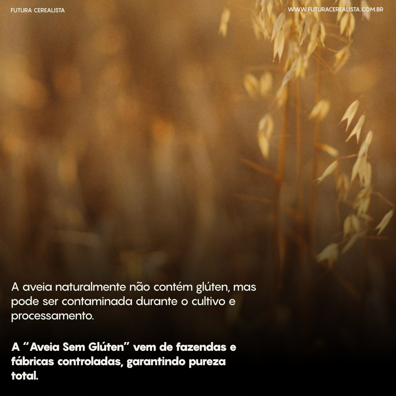 Aveia em Flocos Grossos sem Glúten A Granel